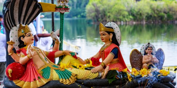 Vezetett déli túra - Fedezd fel Mauritius vadregényes déli részét - Image 2