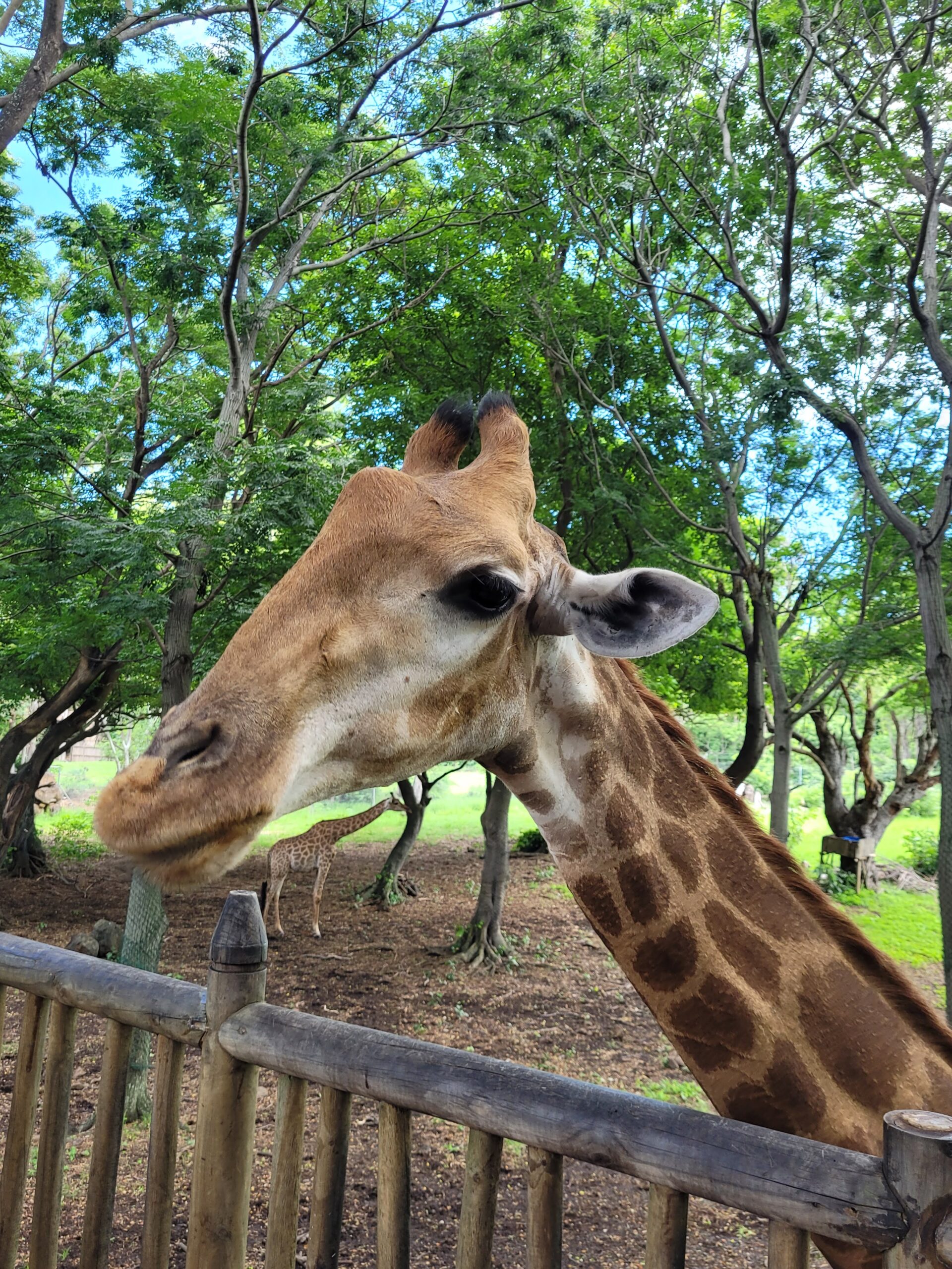 Egész napos taxi Mauritiuson – Kényelmes, rugalmas és gazdaságos megoldás - Image 4