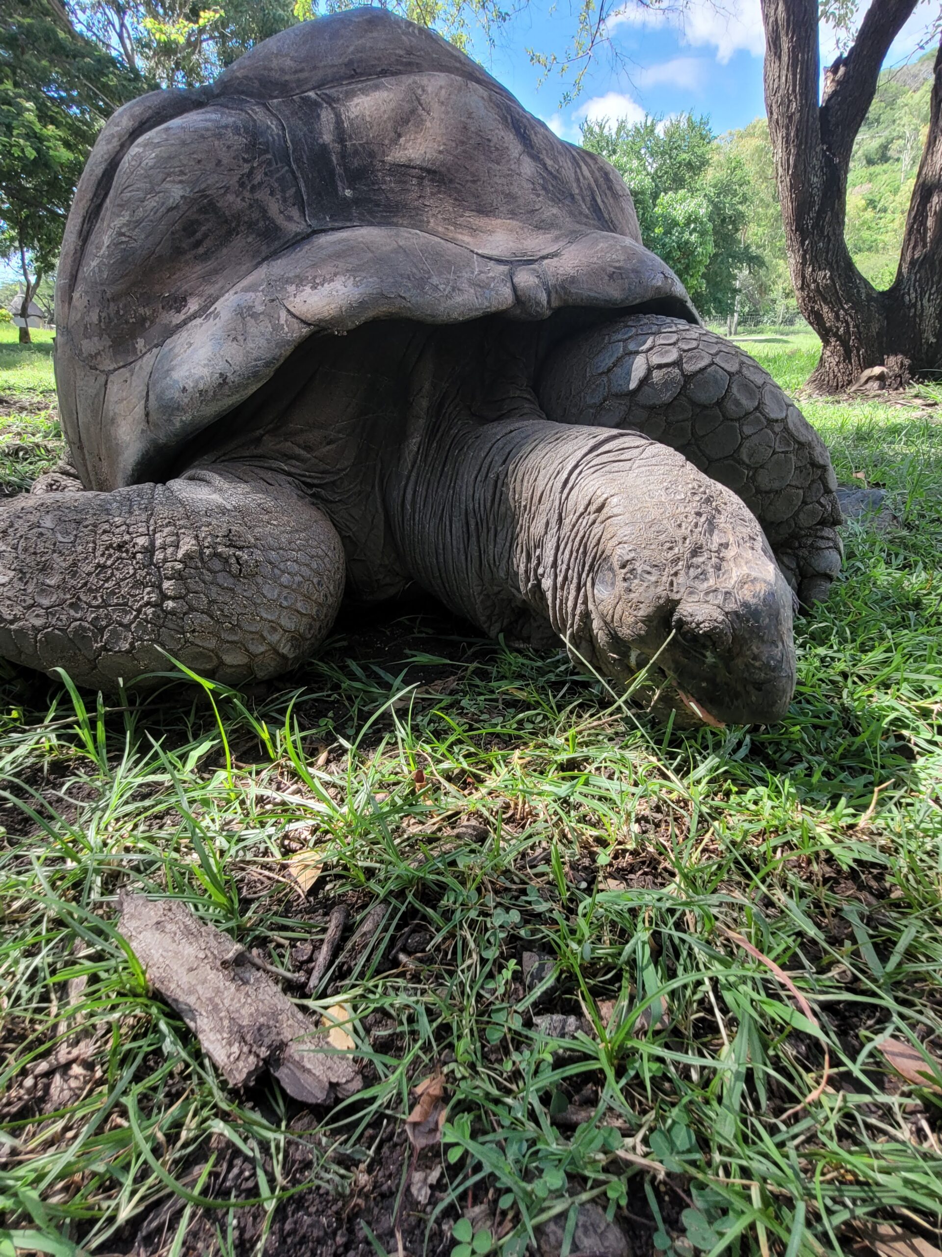Egész napos taxi Mauritiuson – Kényelmes, rugalmas és gazdaságos megoldás - Image 2