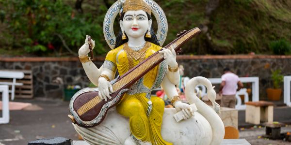 Vezetett déli túra - Fedezd fel Mauritius vadregényes déli részét - Image 3