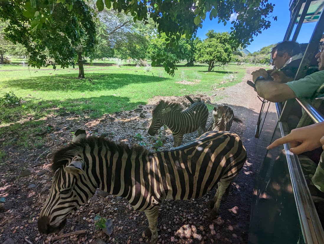 Egész napos taxi Mauritiuson – Kényelmes, rugalmas és gazdaságos megoldás - Image 5
