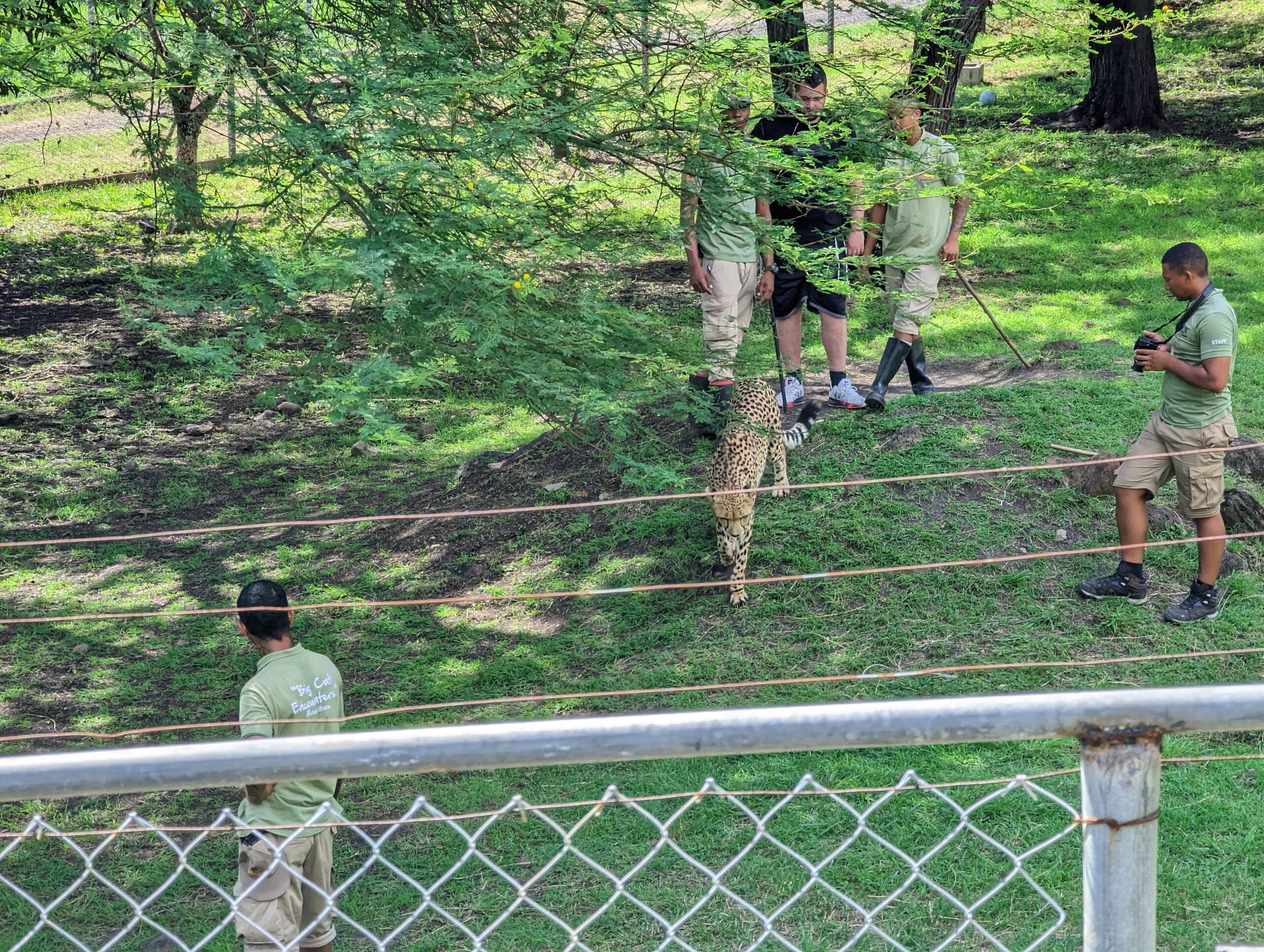 Egész napos taxi Mauritiuson – Kényelmes, rugalmas és gazdaságos megoldás - Image 3