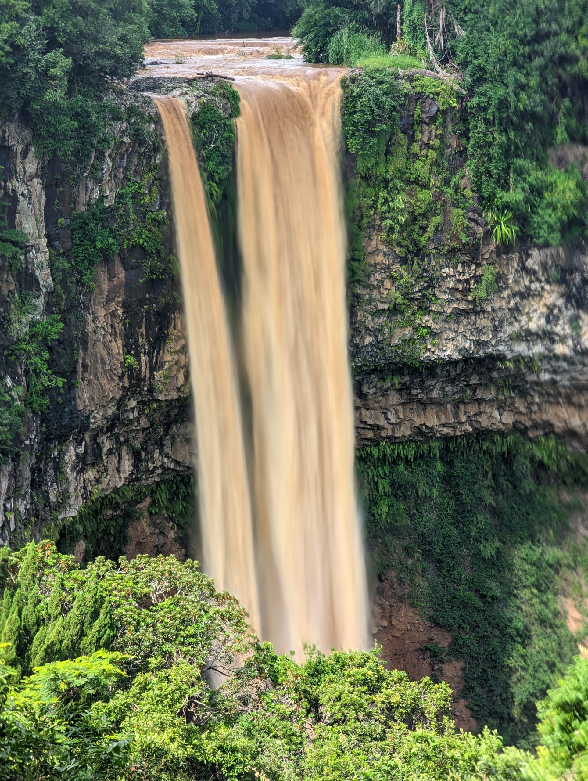 Vezetett déli túra - Fedezd fel Mauritius vadregényes déli részét - Image 7