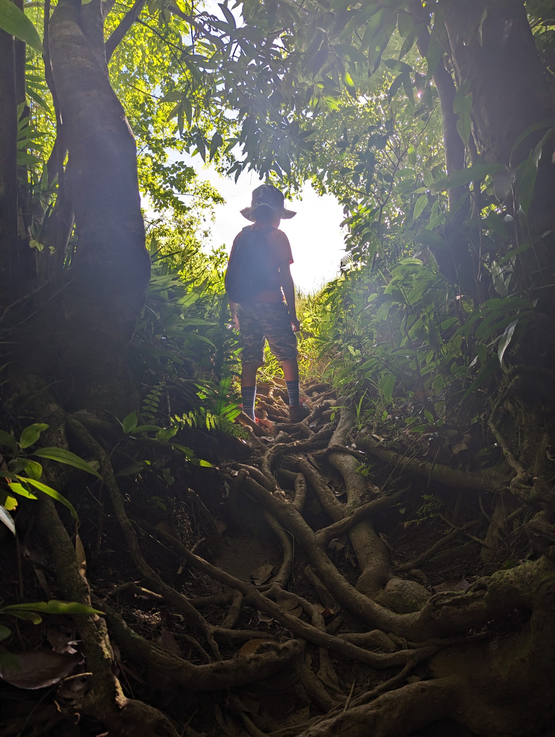 7 Cascade túra – vízesések, fürdőzés és kaland a dzsungelben - Image 2