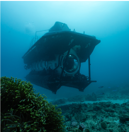 Tengeralattjárózás Mauritiuson – merüljetek le a tenger mélyére búvárkodás nélkül - Image 5