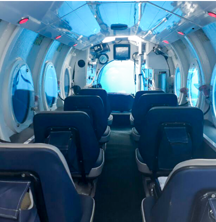 Tengeralattjárózás Mauritiuson – merüljetek le a tenger mélyére búvárkodás nélkül - Image 4