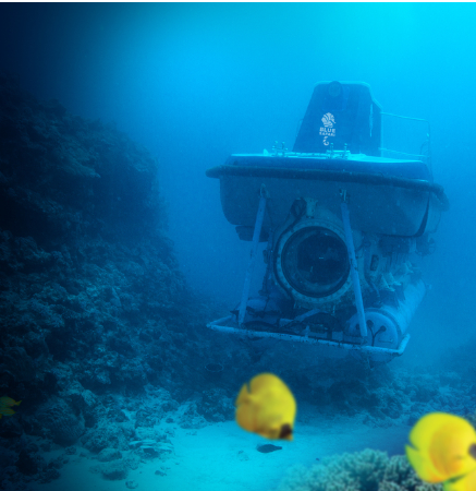 Tengeralattjárózás Mauritiuson – merüljetek le a tenger mélyére búvárkodás nélkül - Image 2