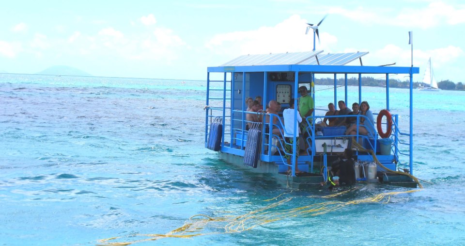 Séta a tenger mélyén – különleges víz alatti kaland Mauritiuson - Image 6